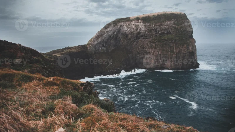 Ponta do Morro - Castelo Branco – photo 3