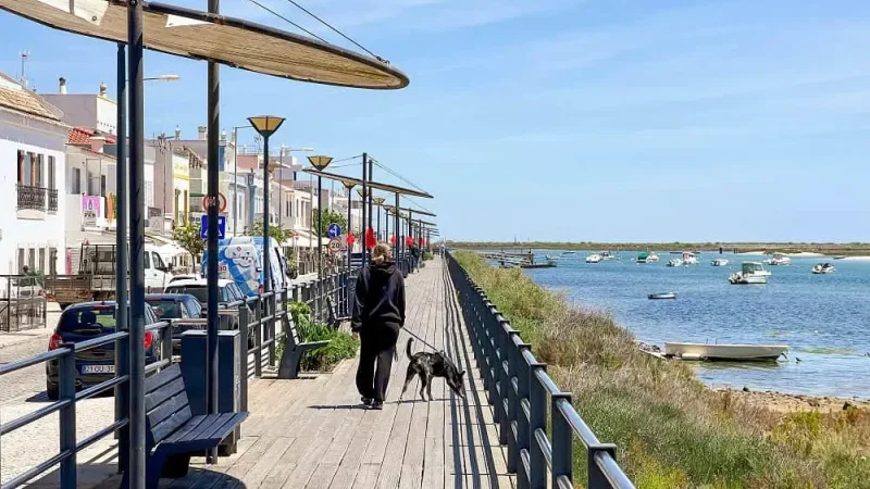 A ver Tavira – photo 8