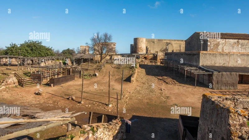 Velho Cavalinho Taberna Medieval – photo 3