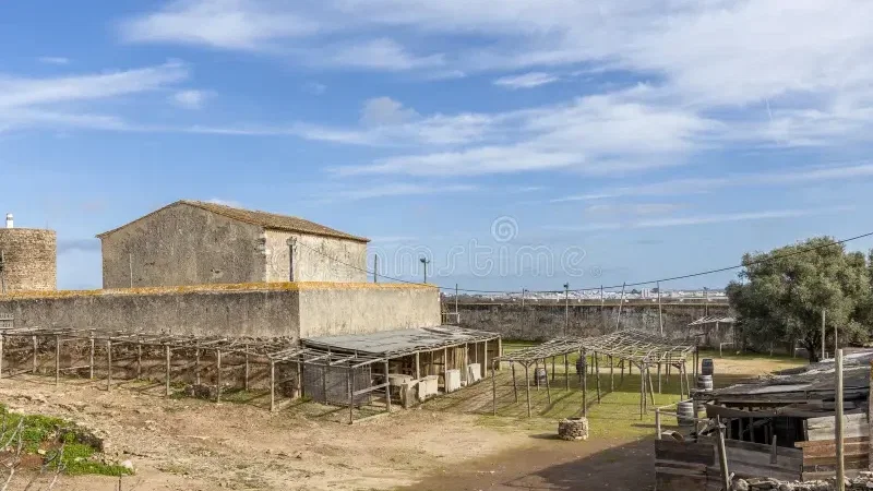 Velho Cavalinho Taberna Medieval – photo 5