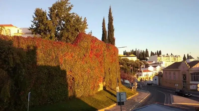 Foto do restaurante Casa das Francesinhas | Espaço Santa Clara