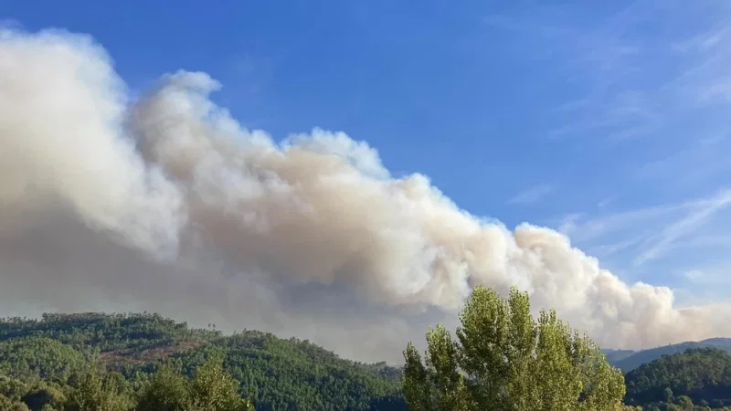 Fogo e Tradição – photo 3