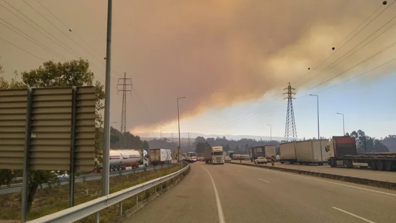 Fogo e Tradição – photo 4