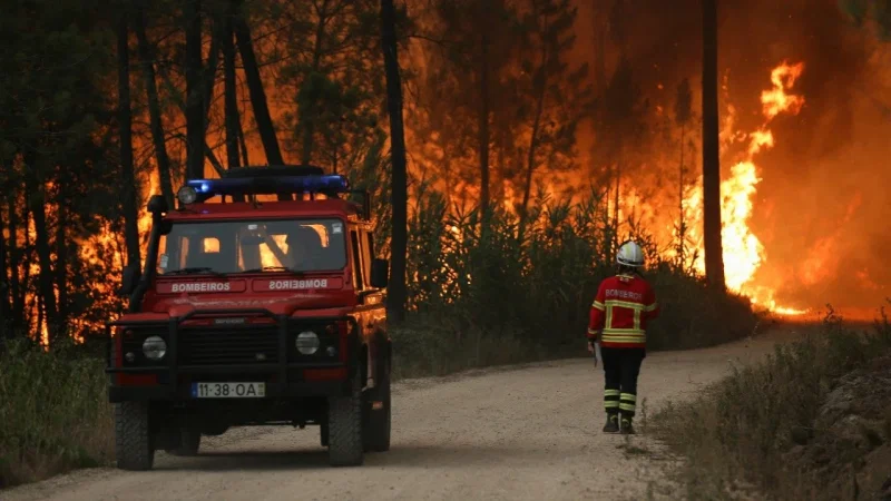 Fogo e Tradição – photo 7