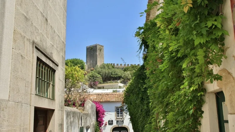 Capinha d'Óbidos