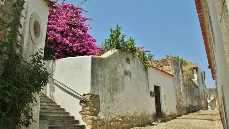 Capinha d'Óbidos – photo 5