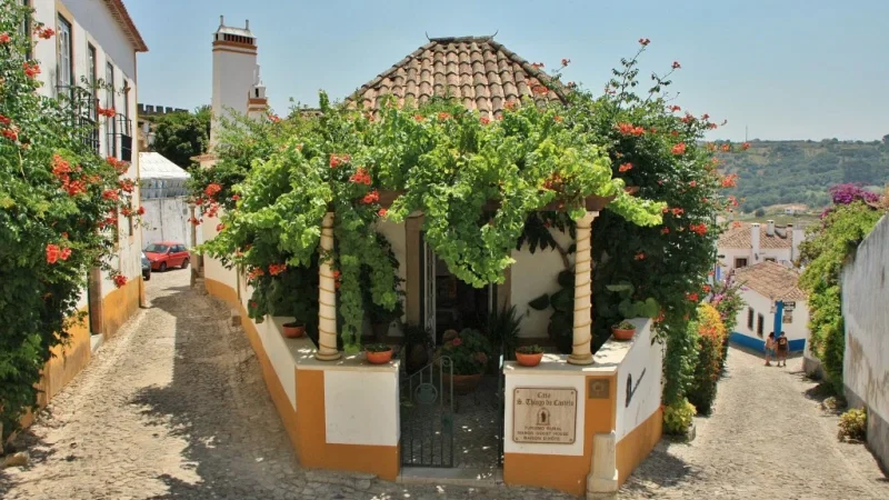 Capinha d'Óbidos – photo 8