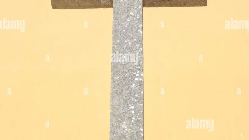 Pastelaria Roma – photo 2