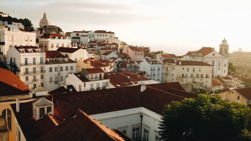 Antù Alfama – photo 2