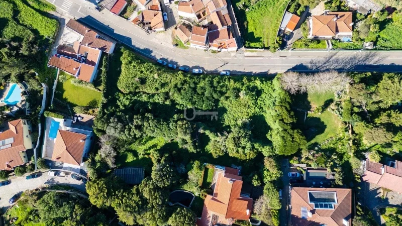 Estrela da Serra – photo 2