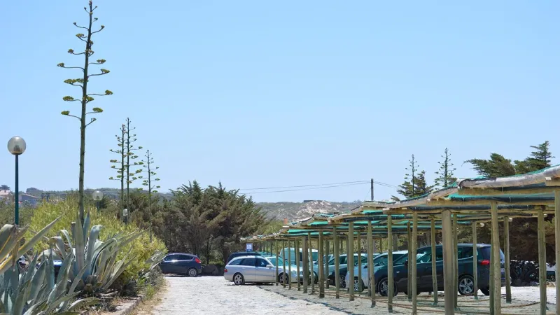 Foto do restaurante Bar do Guincho