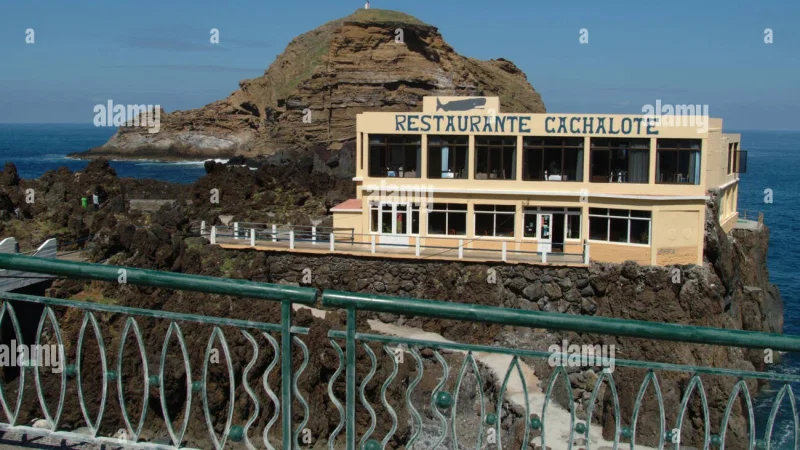 Cachalote – photo 10