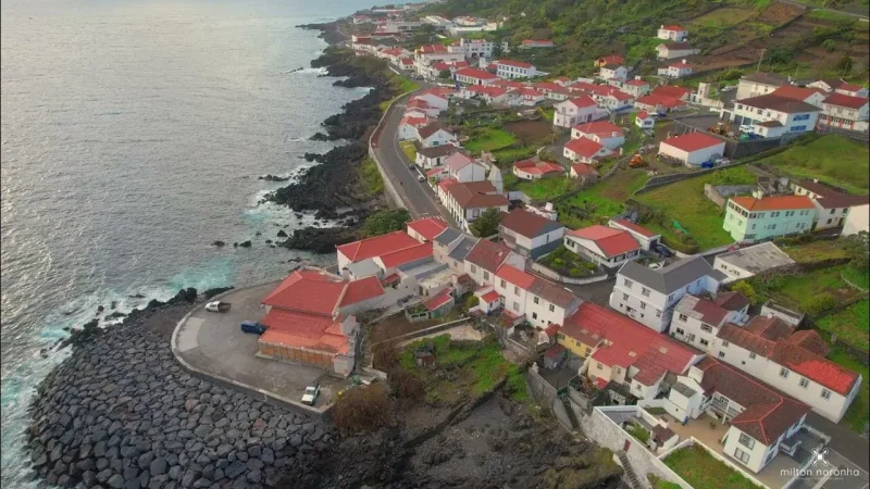 Sabores Sopranos ilha são jorge – photo 8